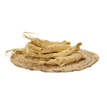 Natural High Quality Chinese Patent Herbal Medicine Ginseng
